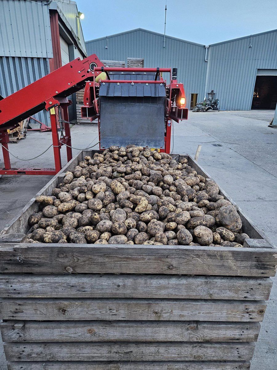 HKTimbers's tweet photo. 9 year old boxes, still going strong πͺ
#BuiltToLast #Strong #Robust #SpudBox #Spud #Potato #PotatoStorage #BestBoxAround #HKTimbers https://t.co/KaKdlxeLjZ