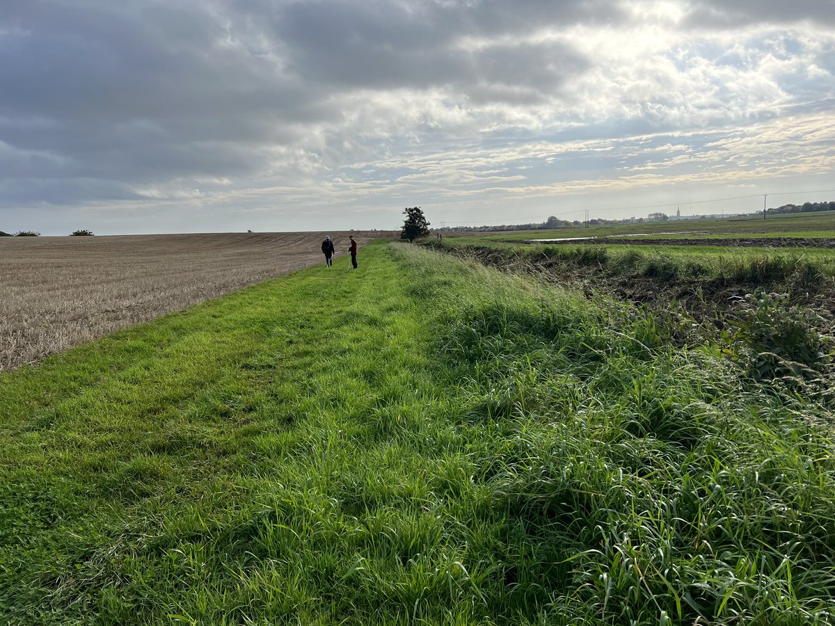 Sue Dawson tweet media