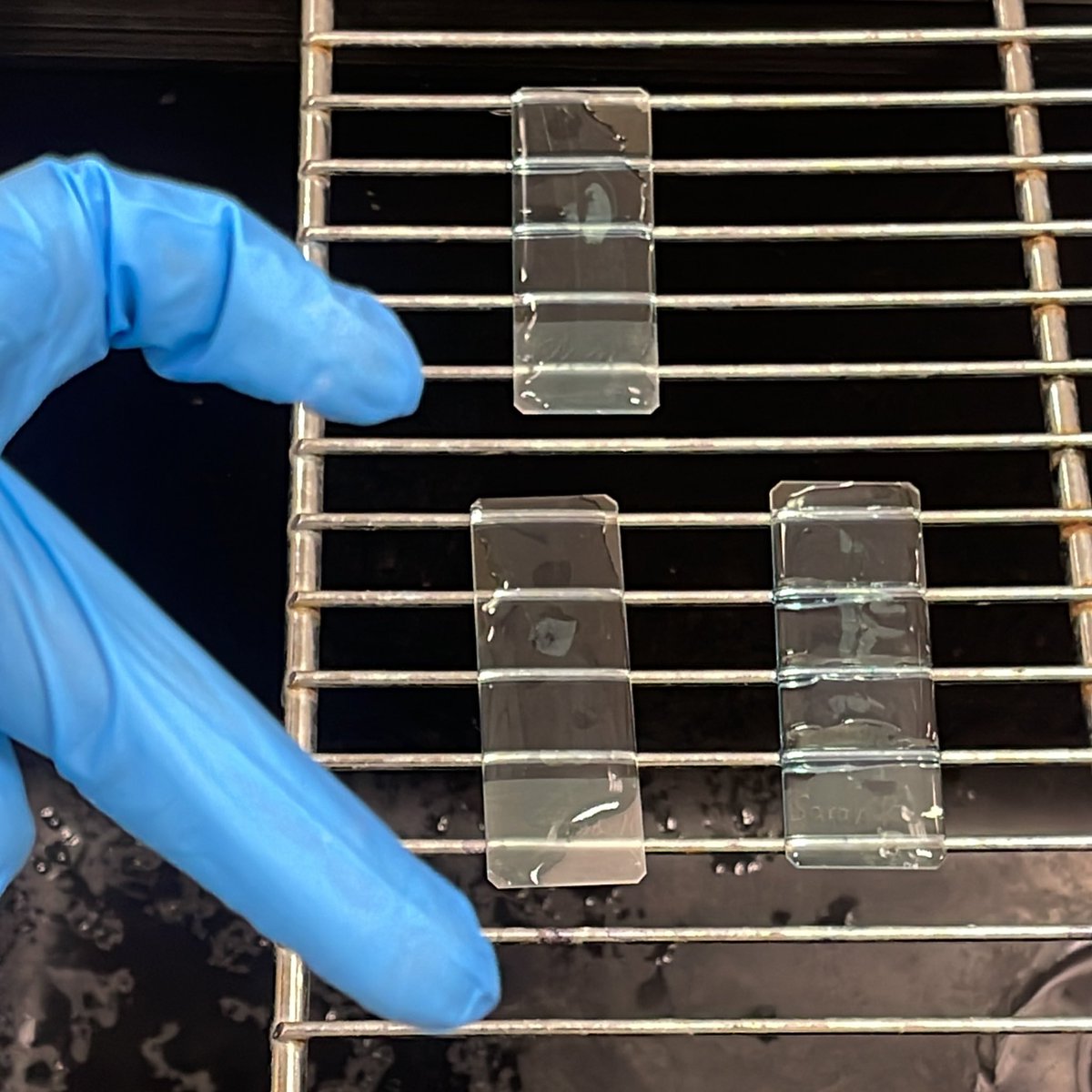 • HISTOLOGICAL TECHNIQUE •