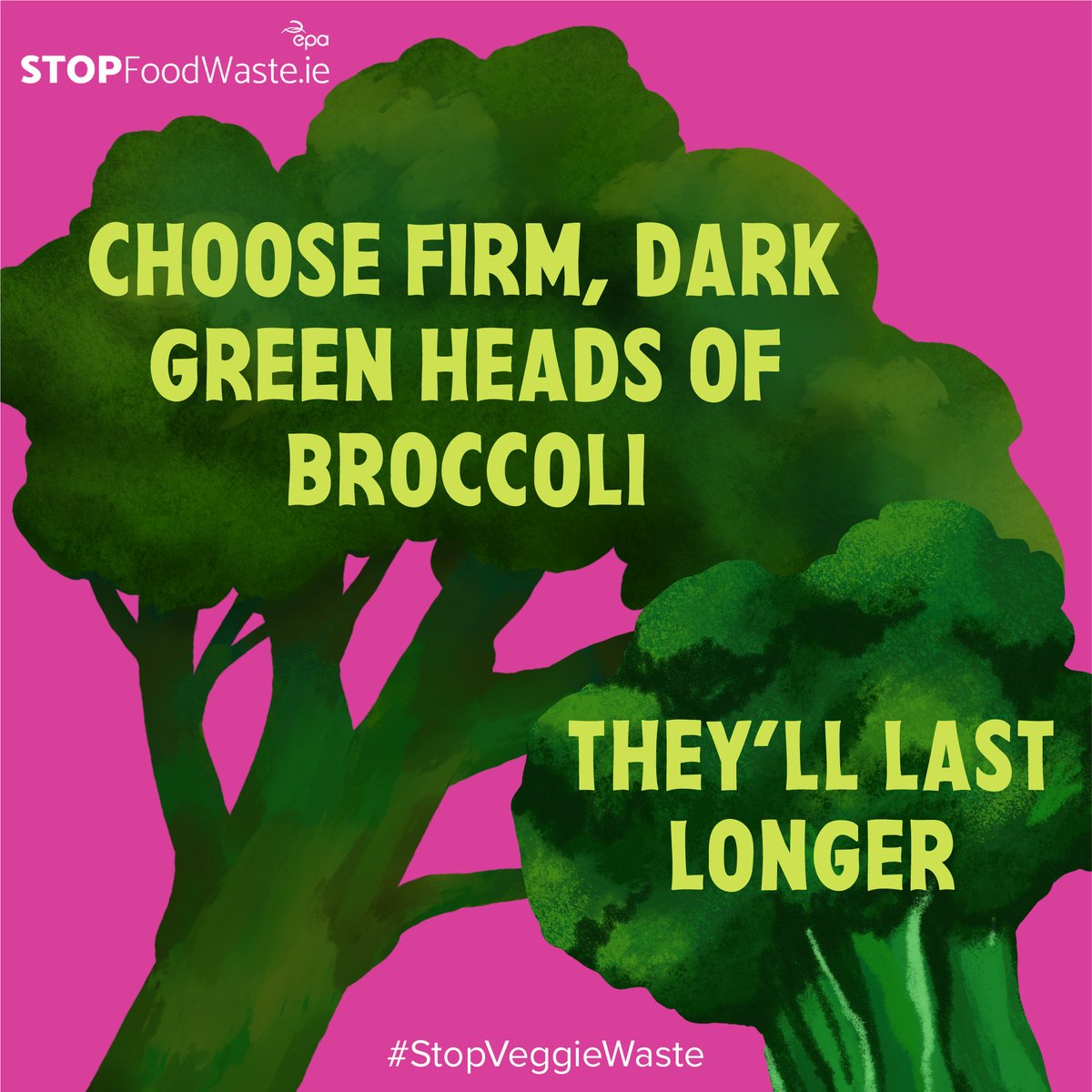 Buy broccoli that will last for longer by choosing firm, dark green heads with compact florets. Follow the link for more top tips to #StopVeggieWaste 👇 stopfoodwaste.ie/shopping-and-s…