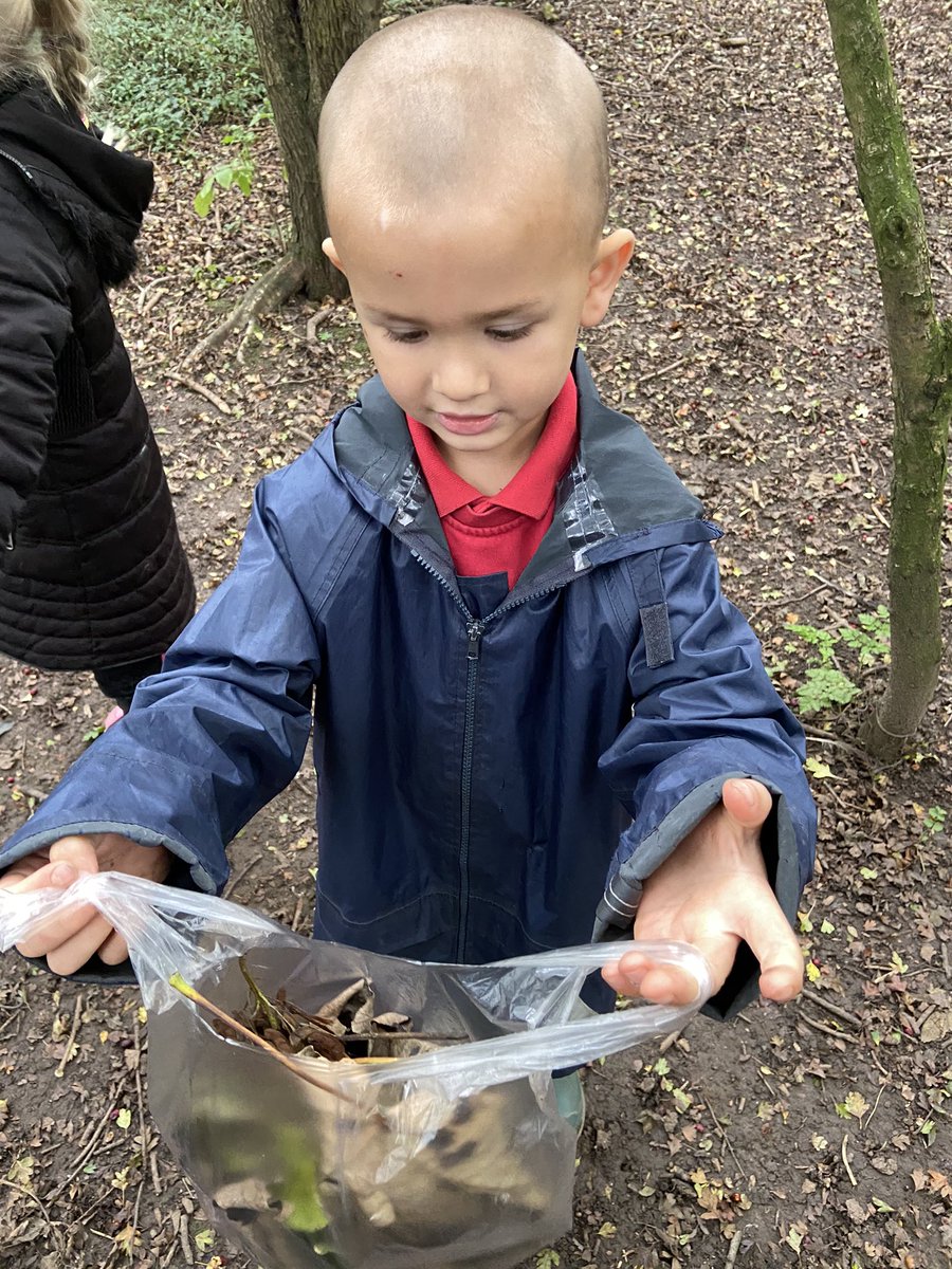 carolin17428620's tweet photo. Todays Bramblebank Wood adventures include making a rope swing, climbing trees, finding autumn treasures and climbing along our rope bridge! 
We love being in the woods ❤️
@AlthorpeKeadby https://t.co/7Cj9z5I2WL