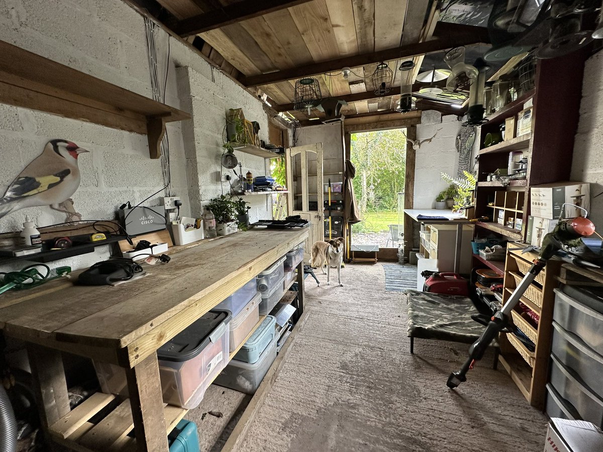 Big thanks to <a href="/timstenton/">DolphinViewHillockhead Tim Stenton</a> from Wren and me. 🐕❤️Tim has helped me get my workshop to the next phase helping me build my lovely new workbench and help heaving the heavy stuff around that I can’t do on my own! Roll on new projects!!! #GwylltHollow