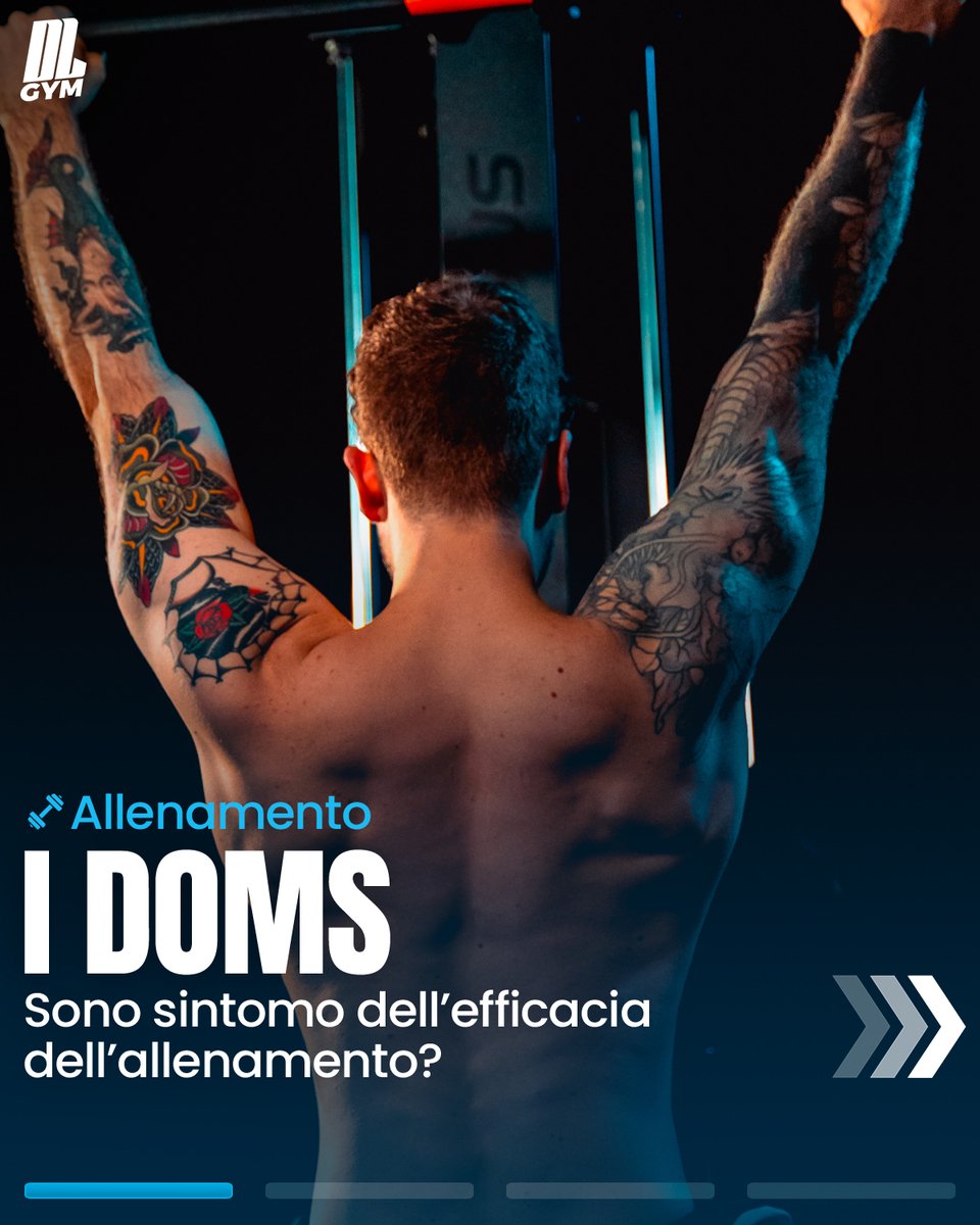 DLGYM_Official_'s tweet photo. Visita il link https://t.co/GL1GVdAVwE per avere tutte le informazioni sui nostri pacchetti di coaching

#dlnutrition #dlgym #dlsquad #nutrizione #alimentazione #allenamento #gym #gymlife #bodybuilding #powerlifting #powerbuilding #workout #livecoaching #coachingonline #doms https://t.co/c90PO6CvNU