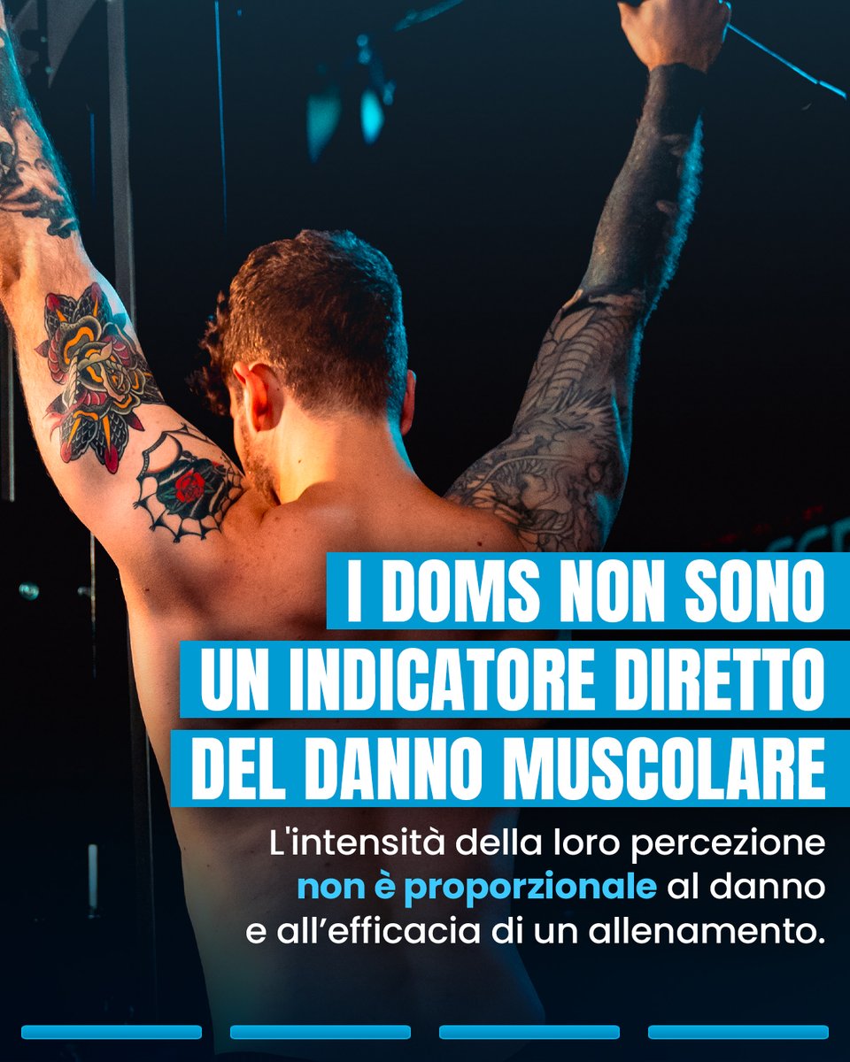 DLGYM_Official_'s tweet photo. Visita il link https://t.co/GL1GVdAVwE per avere tutte le informazioni sui nostri pacchetti di coaching

#dlnutrition #dlgym #dlsquad #nutrizione #alimentazione #allenamento #gym #gymlife #bodybuilding #powerlifting #powerbuilding #workout #livecoaching #coachingonline #doms https://t.co/c90PO6CvNU