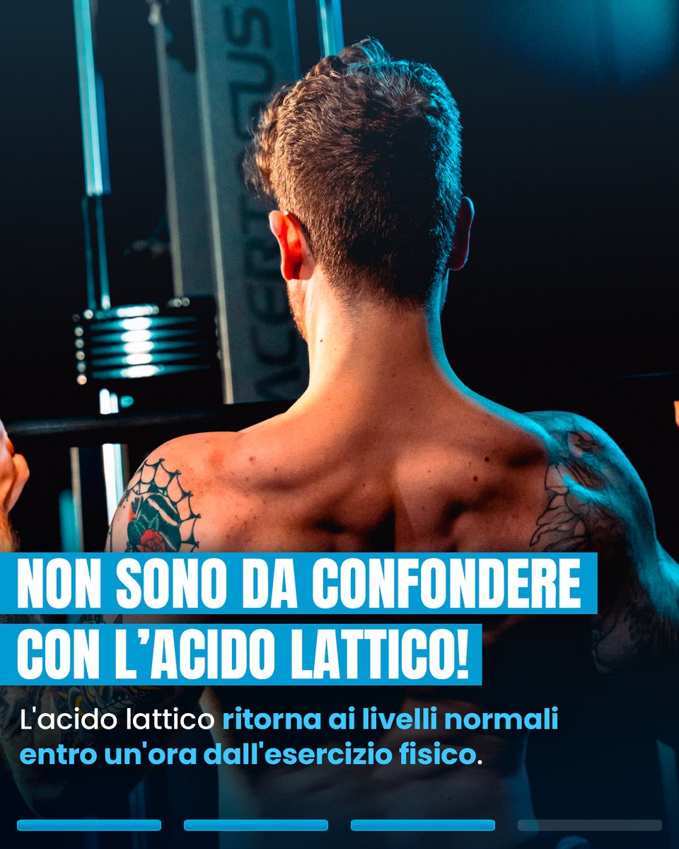 DLGYM_Official_'s tweet photo. Visita il link https://t.co/GL1GVdAVwE per avere tutte le informazioni sui nostri pacchetti di coaching

#dlnutrition #dlgym #dlsquad #nutrizione #alimentazione #allenamento #gym #gymlife #bodybuilding #powerlifting #powerbuilding #workout #livecoaching #coachingonline #doms https://t.co/c90PO6CvNU