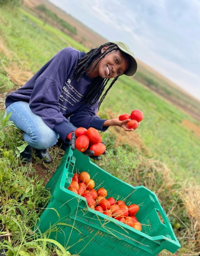 I'm not saying I'm a tomato expert, but I can definitely tell you which ones are the ripest #farming