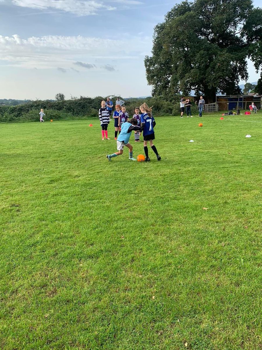 Wildcats: On Saturday Wildcats were working on their defensive skills with their coach Jorja. They focused on press and cue within the group and then in match situations! Great work! ⚽️🦡