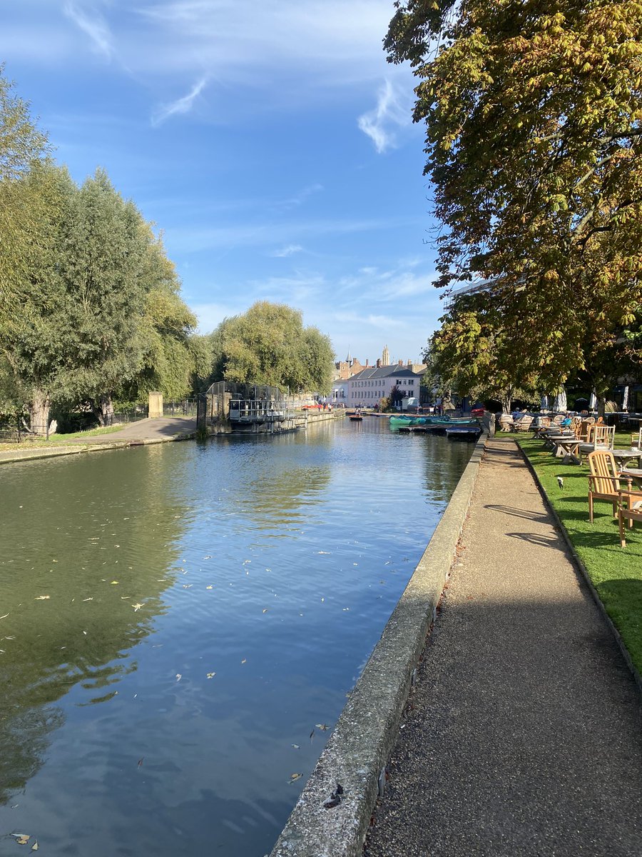 tafadzwa muchenje tweet media