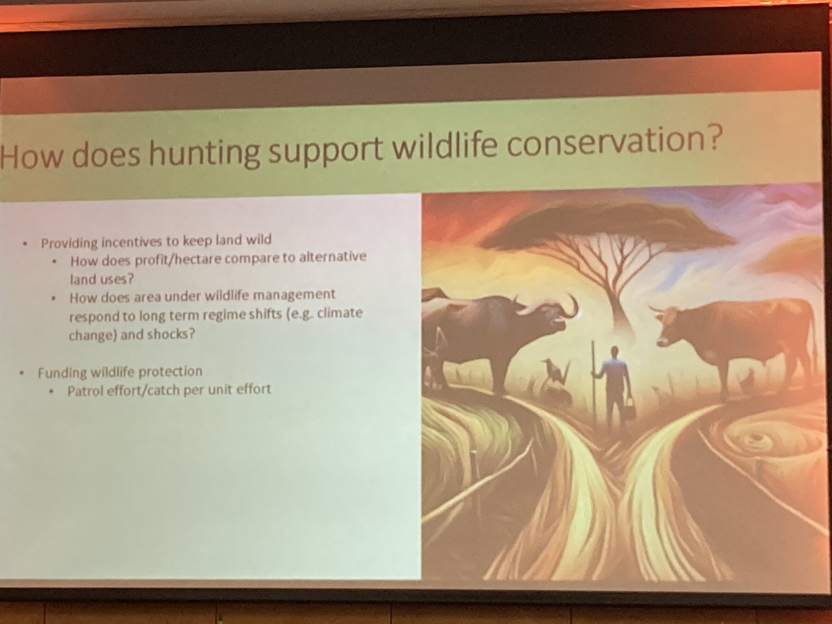 Key research questions for understanding the role of hunting in wildlife conservation - Alex Chidakel speaking at #AWCF - we need comprehensive national monitoring systems @WildlifeEconomy