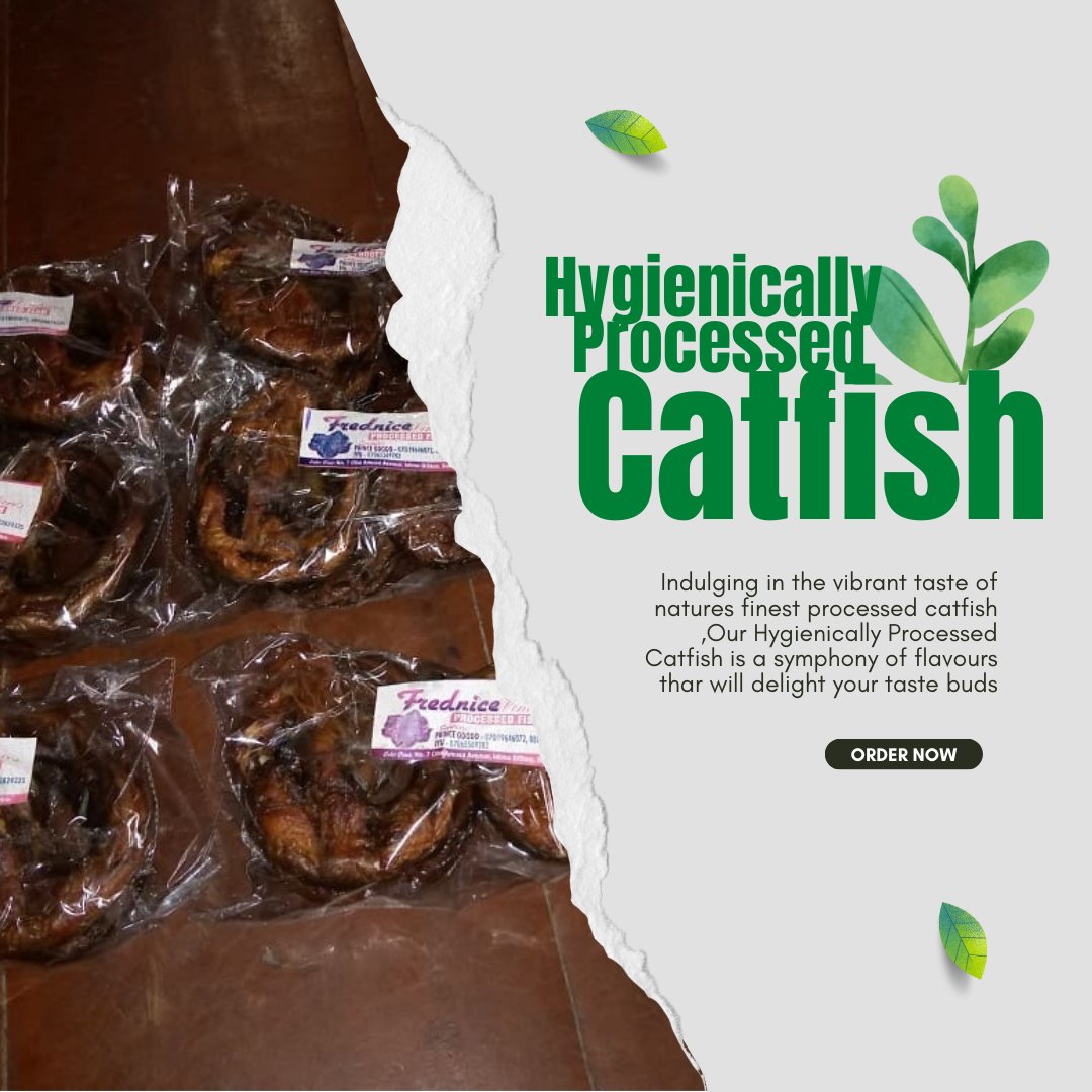 FredniceF's tweet photo. "🐟 Dive into the freshest catch! 🌊 Our hygienically processed catfish guarantees a healthy and delicious meal. Taste the difference today! 😻  #HygienicProcessing #CatfishDelight"#GenZBaddie #chioma Mia Breaking news Mrbanks Davido IPhone Depression #Tinubu https://t.co/ibgwsjw2aF