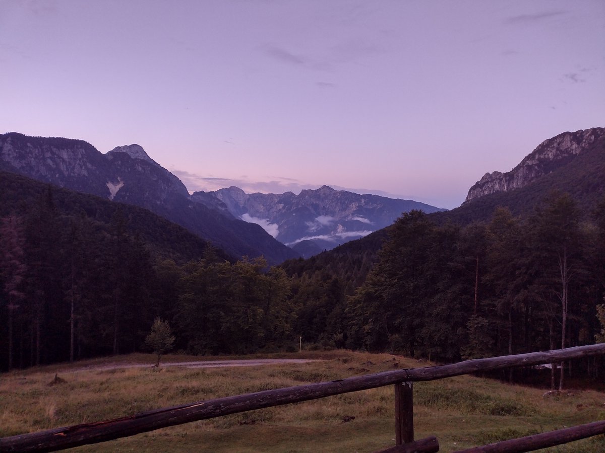I am seeking expression of interest for a potential postdoc on #smallmammals #animalpersonality and #seeddispersal- field work in the Italian Alps. Contact me if interested alessio.mortelliti@units.it (view of the study area attached)