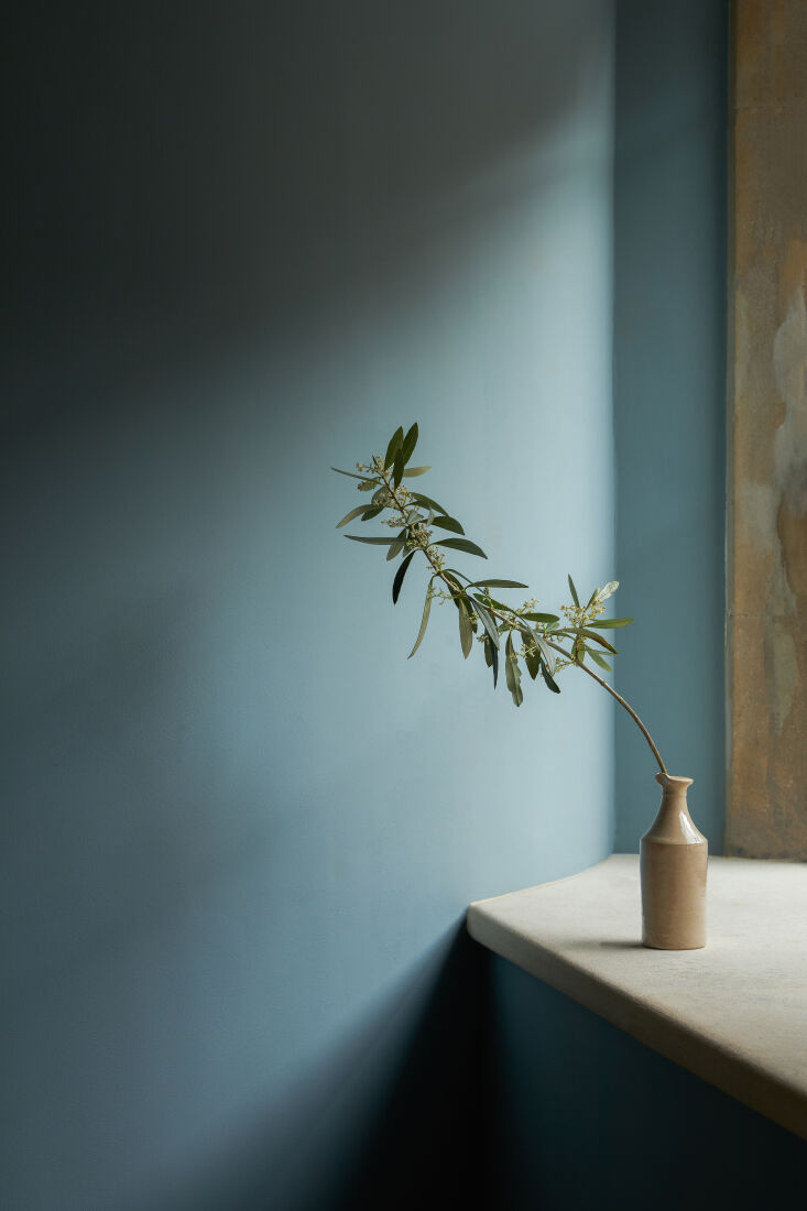 roman_c's tweet image. Mylands: Plant-Based Emulsion Paint, Made from Olive Stones #PalettePaints #Paint #PaintedWalls | BidBuddy.com dlvr.it/SxDswG