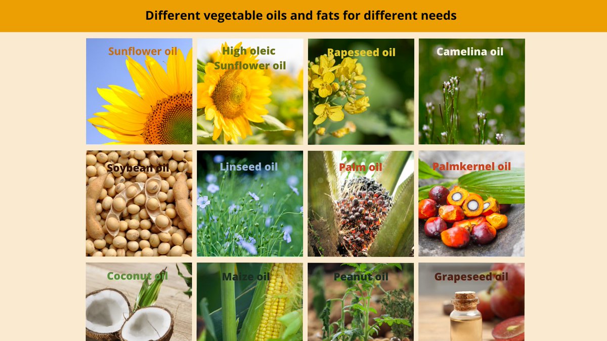 Every day we consume oils & fats. They are very diverse & offer different nutritional properties.

FEDIOL committed to #EUCodeOfConduct in support of a better oil consumption through information. So we have collected only ✅verified facts in this website👉 vegetableoils.eu/home