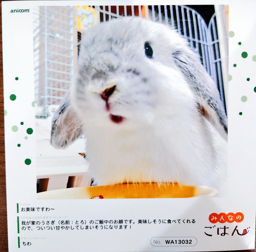 rabbittoro's tweet photo. 富士フイルム主催の【"PHOTO IS"想いをつなぐ。あなたが主役の写真展2023】 より、とろちゃんファンのメッセージ貰いました！嬉しい！！(˶' ᵕ ' ˶)

#今日のとろちゃん
#うさうさラビトリー
#うさぎのいる暮らし 
#うさぎのいる生活
#あなたが主役の写真展 https://t.co/XrsG7qA7VK