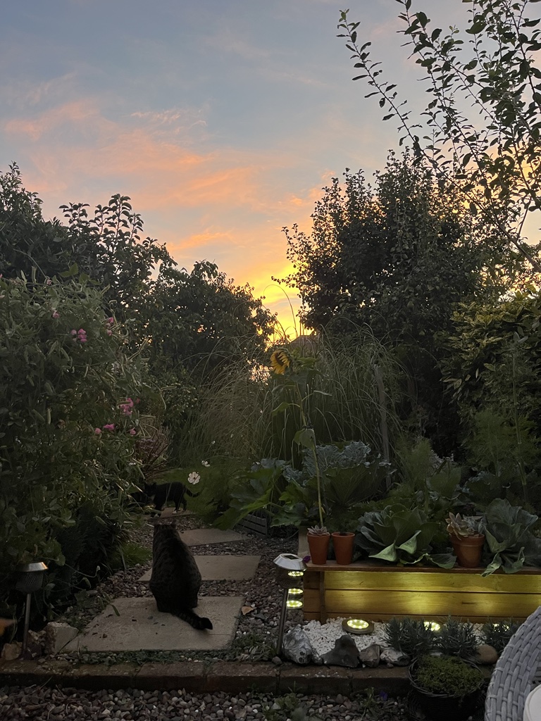 Techrelate's tweet image. It's #WorldMentalHealthDay, taking care of our team's #MentalWellness is a top priority &amp;amp; we encourage everyone to do something for THEMSELVES each day.

Our MD says time in her garden is essential to her #Wellbeing

What do you do to take care of your #mentalhealth?