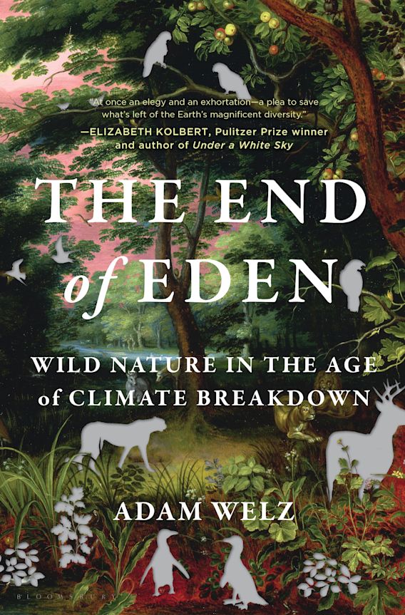 Today, @chrislancette reviews @AdamWelz's 'gut-wrenching,' eye-opening THE END OF EDEN: WILD NATURE IN THE AGE OF CLIMATE BREAKDOWN (@BloomsburyPub): washingtonindependentreviewofbooks.com/bookreview/the…