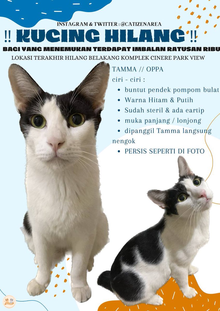 kochengfs's tweet image. bismillah yaAllah pertemukanlah kembali aku dengan 🐈 Tamma 😭

‼️ DICARI KUCING HILANG ‼️
• ciri-ciri sesuai di foto
• lokasi terakhir Cinere Park View - Depok