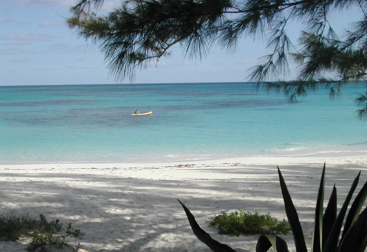 VBahamasRentals's tweet photo. When planning a Bahamas trip, choose Vacation Bahamas Rentals. Abundant vacation rentals, and best of all, "No Booking Fees"! #BahamasTravel #VacationRentals #NoBookingFees #TravelDeals #VacationBahamasRentals https://t.co/g1g0jMyu86 https://t.co/lbeKm59jJ3
