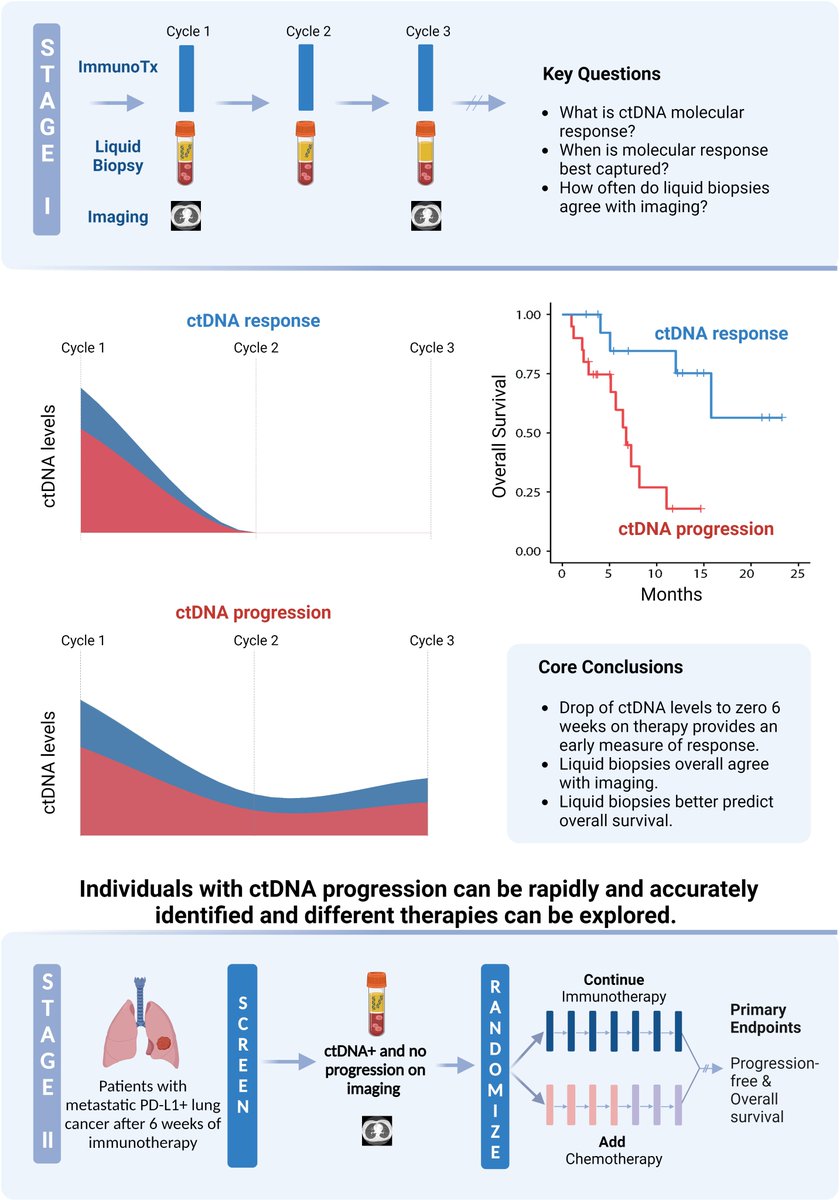 Elsa Anagnostou tweet media