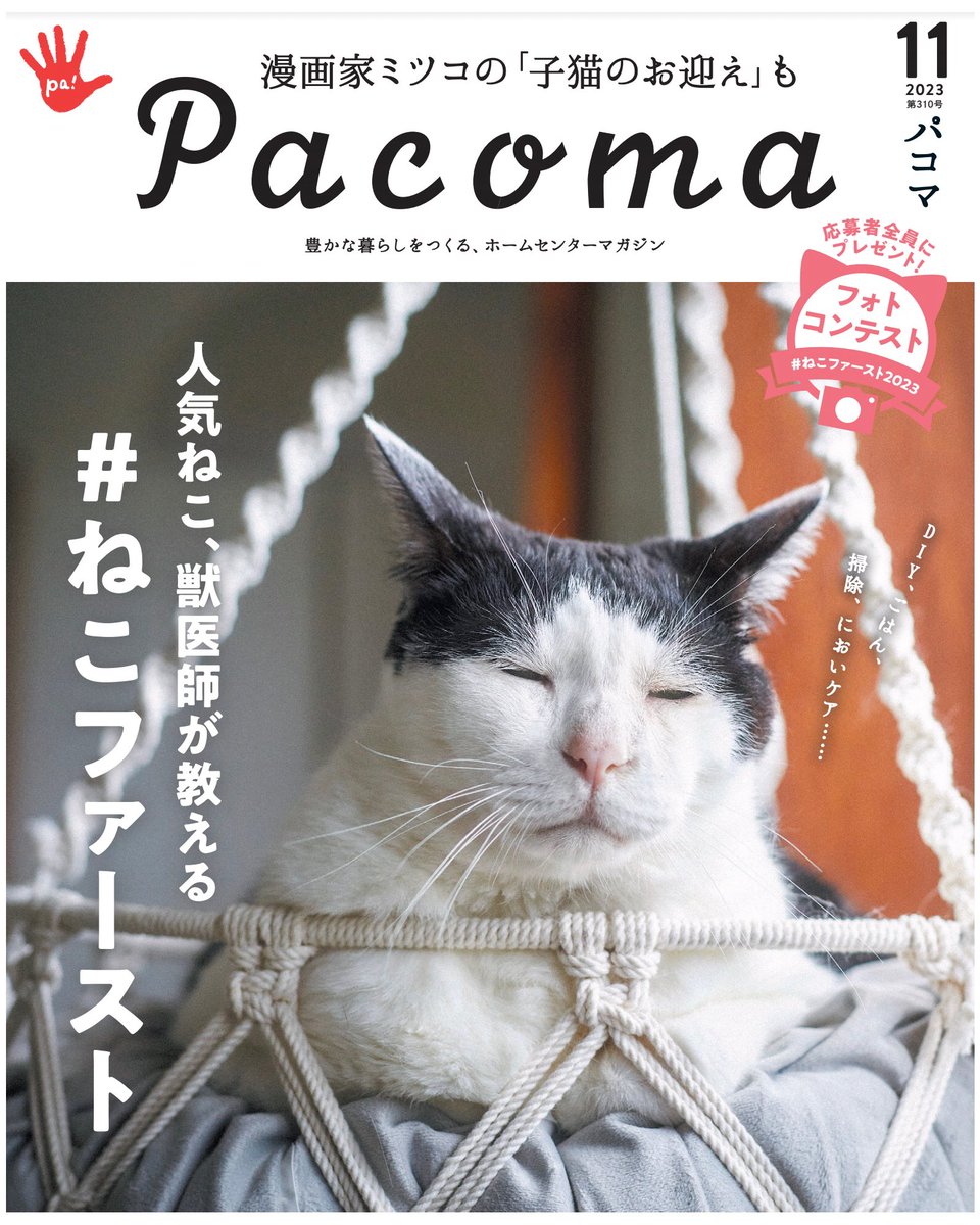 全国のホームセンターで無料配布されているフリーマガジンPacoma(パコマ)の11月号にて、漫画を2ページ描かせていただきました!
今月の特集は「ねこファーストな暮らし」。
わたしが今年、子猫のうずめをお迎えして感じた半年間の出来事と今の気持ちをつづりました。…