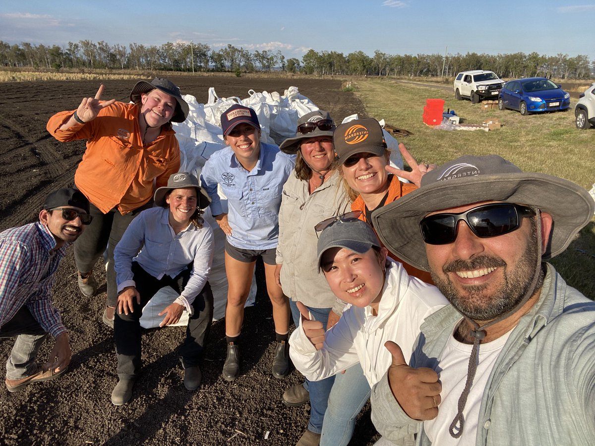 Team Work for the Win 🎉! 
Barley single plant harvest at Gatton is done 🙌 thanks to the amazing <a href="/InterGrain1/">InterGrain</a> team and a couple of keen <a href="/HickeyLab/">Hickey Lab</a> helpers! 
Lots of laughs had, and now an even greater appreciate for “where beer comes from!”
<a href="/samir_alahmad/">Samir Alahmad</a> <a href="/BaraibarSilvina/">Silvina Baraibar</a>