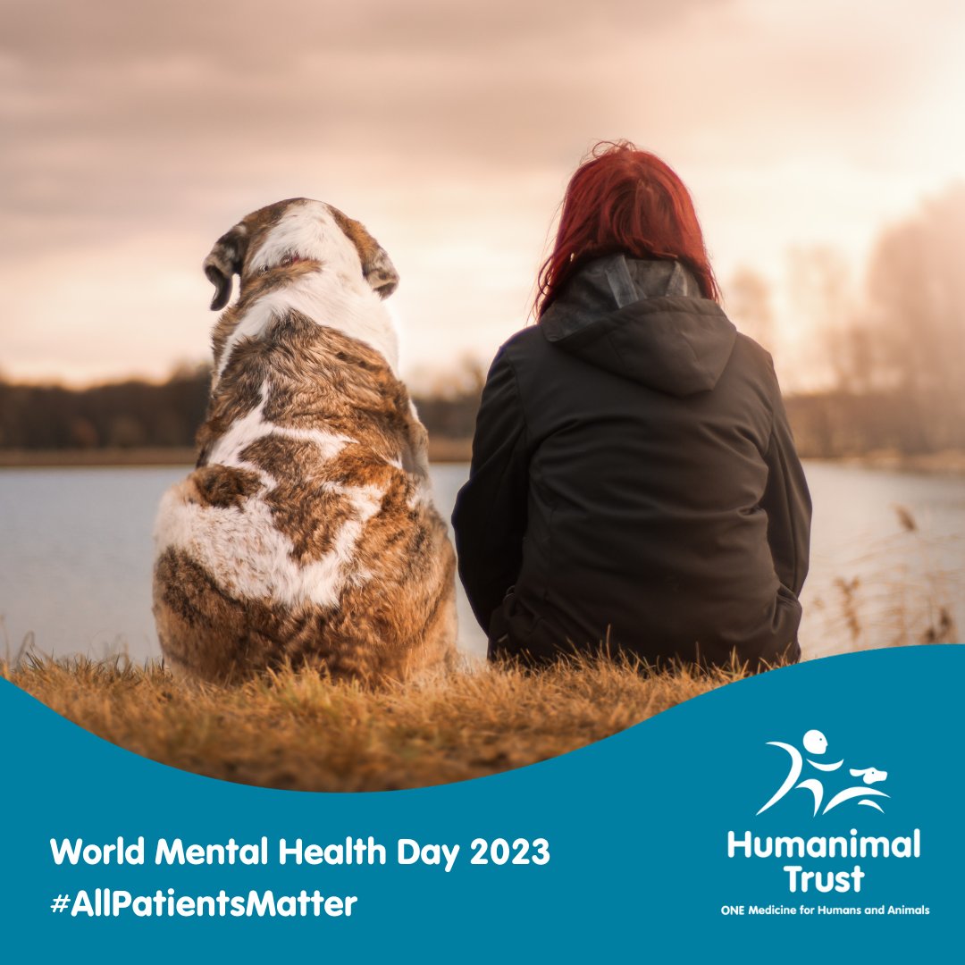 HumanimalTrust's tweet photo. Today is World Mental Health Day. Mental Health issues affects us all and as we believe reciprocity lies at the heart of One Medicine, we would like to see a world where mental health is a priority for both humans and animals alike. #AllPatientsMatter #OneMedicine https://t.co/dIN7yhhiS3