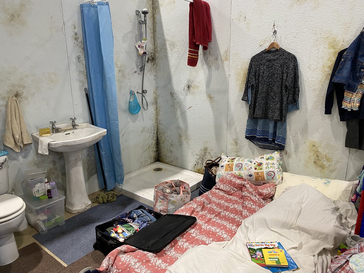 Justlife tweet media