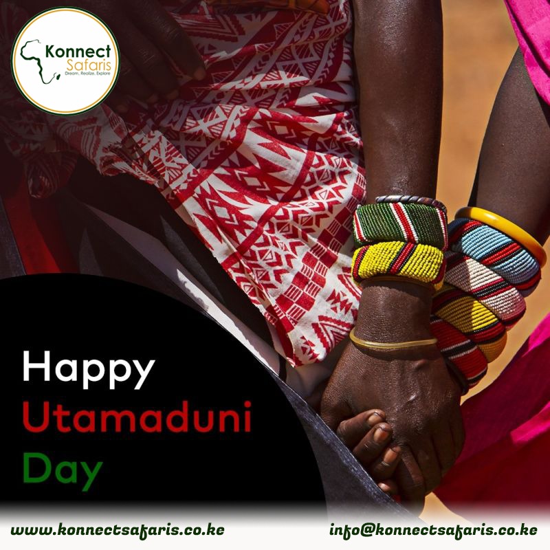 KonnectSafaris's tweet image. Lets celebrate our rich culture that promotes unity &amp;amp; national cohesion in our country Kenya. 
HAPPY UTAMADUNI DAY.

+254 728 069 762

Email: info@konnectsafaris.co.ke

#magicalkenya  #RediscoverTheMagic #Konnectsafaris #Travel #GazaUnderAttack #SuperMetro #Happyutamaduniday2023