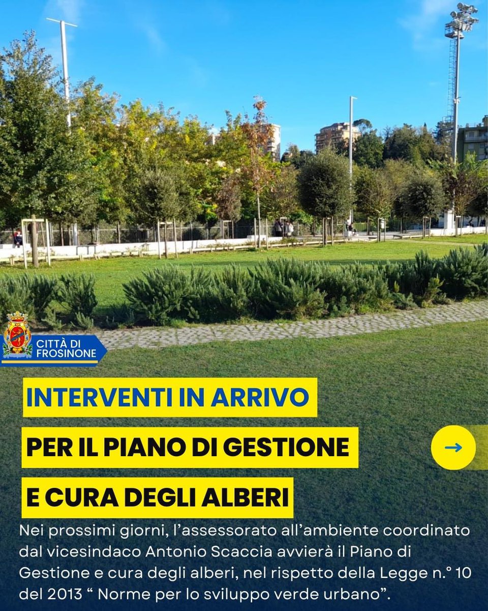 Nei prossimi giorni, l’assessorato all’ambiente coordinato dal vicesindaco Antonio Scaccia avvierà il Piano di Gestione e cura degli alberi, nel rispetto della Legge n.° 10 del 2013 “ Norme per lo sviluppo verde urbano”.
comune.frosinone.it/archivio3_noti…

#riccardomastrangelisindaco