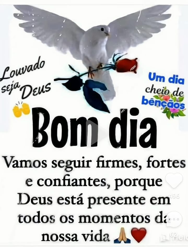 solimar carlos da silva (@solimarcarlosd1) on Twitter photo 2023-10-10 10:49:22