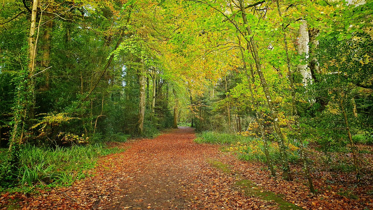 Forest Service Northern Ireland (@forestserviceni) on Twitter photo Pleased to announce launch of new Forestry student placement competition for 2024/25 (up to 51 weeks).. Details here > irecruit-ext.hrconnect.nigov.net/jobs/vacancies………
<a href="/ssf_uhi/">Scottish School of Forestry</a> <a href="/CumbriaUni/">University of Cumbria</a> @UoCNSF <a href="/BUForestry/">Bangor Uni Forestry</a> <a href="/ucd_forestry/">UCD Forestry</a> <a href="/SETUIreland/">South East Technological University</a> <a href="/TheICF/">Institute of Chartered Foresters</a> <a href="/royal_forestry/">RoyalForestrySociety</a> <a href="/RSFS1854/">RSFS</a> <a href="/BFSA_forestry/">Bangor Forestry</a> Pleased to announce launch of new Forestry student placement competition for 2024/25 (up to 51 weeks).. Details here > irecruit-ext.hrconnect.nigov.net/jobs/vacancies………
<a href="/ssf_uhi/">Scottish School of Forestry</a> <a href="/CumbriaUni/">University of Cumbria</a> @UoCNSF <a href="/BUForestry/">Bangor Uni Forestry</a> <a href="/ucd_forestry/">UCD Forestry</a> <a href="/SETUIreland/">South East Technological University</a> <a href="/TheICF/">Institute of Chartered Foresters</a> <a href="/royal_forestry/">RoyalForestrySociety</a> <a href="/RSFS1854/">RSFS</a> <a href="/BFSA_forestry/">Bangor Forestry</a>