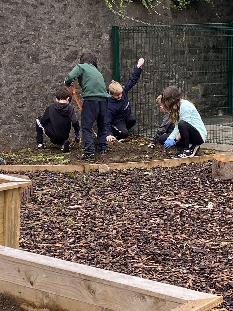 Senior <a href="/harlaw_academy/">Harlaw Academy</a> pupils working on the community garden <a href="/SchoolBroomhill/">BroomhillSchool</a> 🪴🧑‍🌾👩🏿‍🌾
