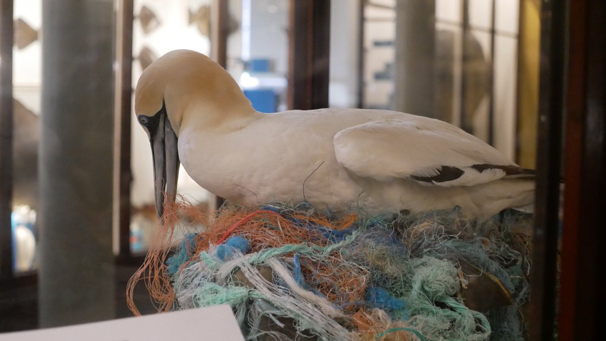 Verity Burke tweet media