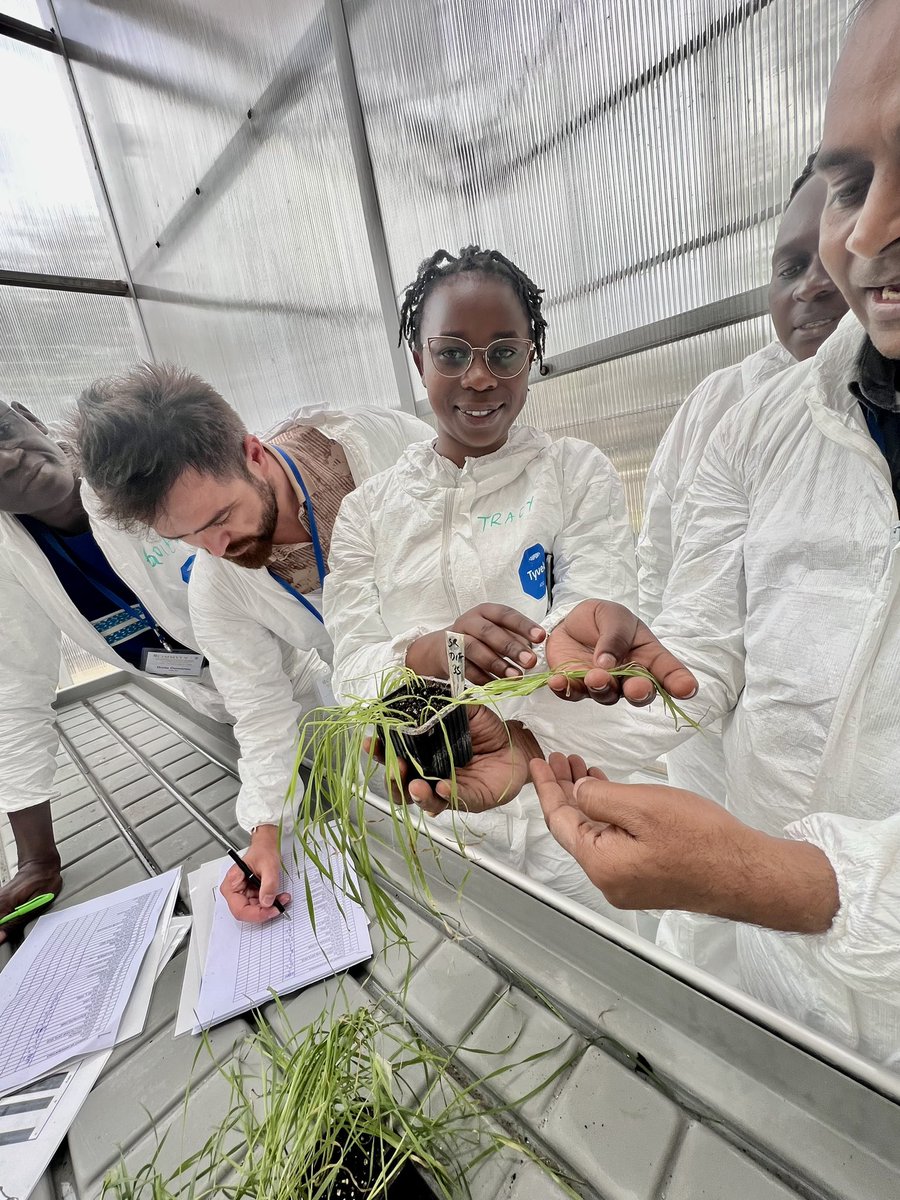 Hybrid vigor???? Travy Jayo from  <a href="/plantvillage/">PlantVillage</a> joined the #DEWAS training. Next-gen rust pathology scientist in the making! <a href="/DH_PlantVillage/">David Hughes</a> <a href="/globalrust/">Borlaug Global Rust Initiative</a>