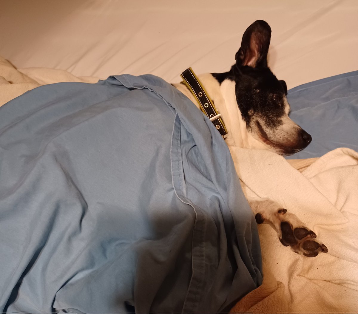 Yep. My mood exactly.