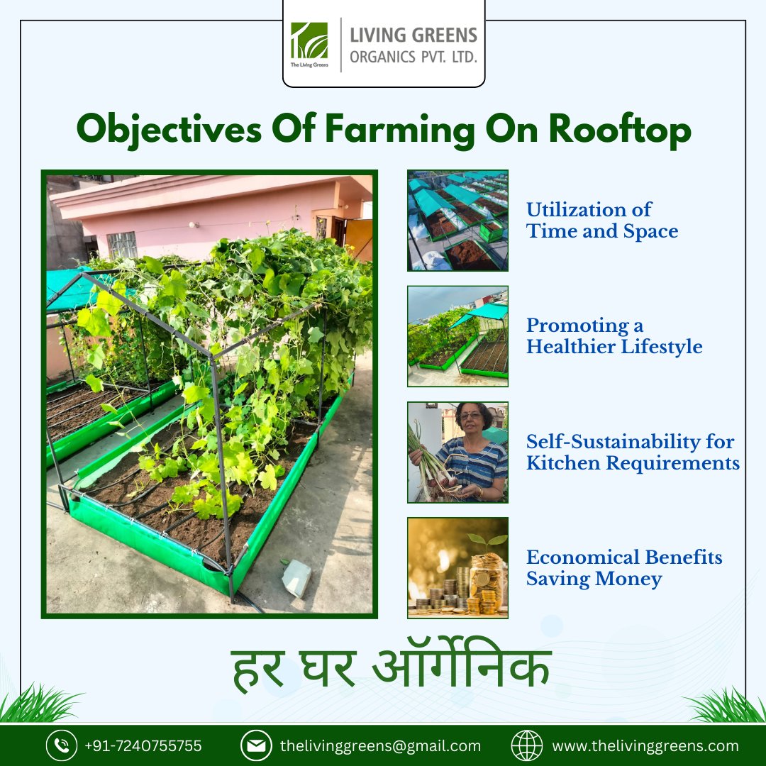 living_greens's tweet photo. Realize 'Har Ghar Organic' Dream with Living Greens' Portable Farming System - Your Gateway to Growing an Organic Heaven Anywhere!
Visit Our Site- https://t.co/lS6faQBI8t
#thelivinggreens #livinggreensorganics #urbanorganicfarming #schoolfarming #jaipurorganicfarmersmarket https://t.co/nEt1wWABYy