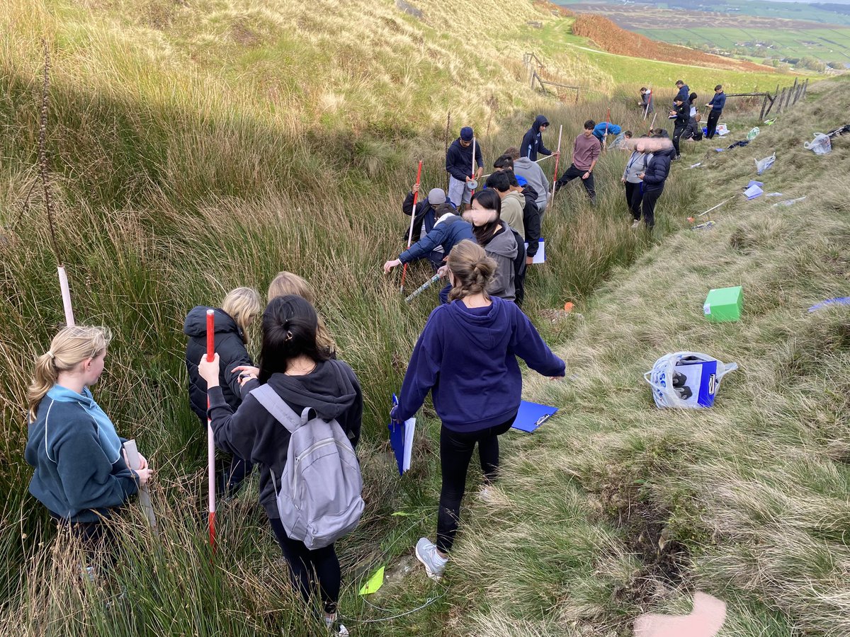 BGS Geography tweet media