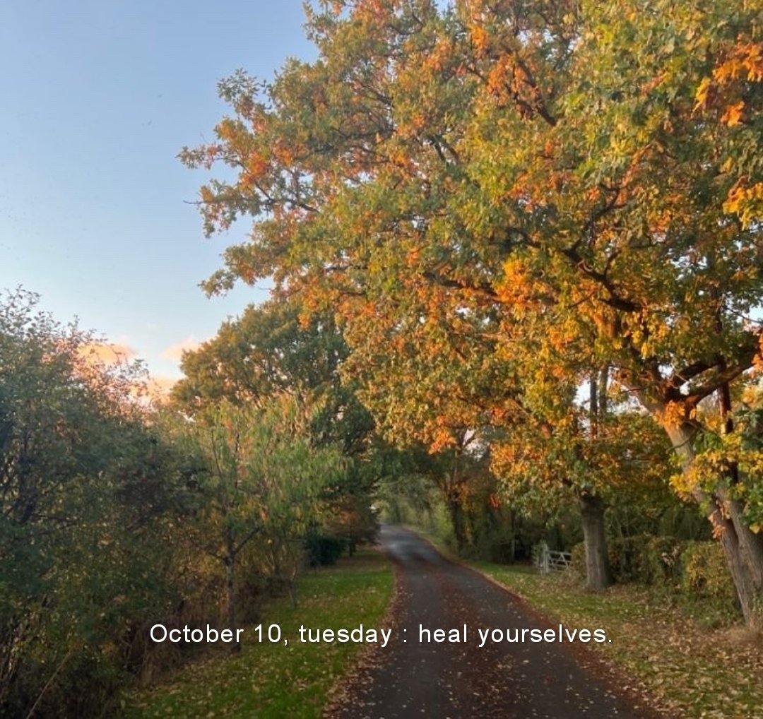 artistryhere's tweet image. 