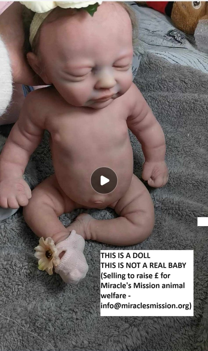 #Auction We need to reach as many #silicone #doll collectors as poss to find bidders - to raise funds for Batel's #vetbills

Pls #RT

#reborn #dolls #siliconedolls #DawnBowieDoll #DollCollector #collectables #Christmasgifts #Christmas #dollstagram #dollphoto #dollsofinstagram