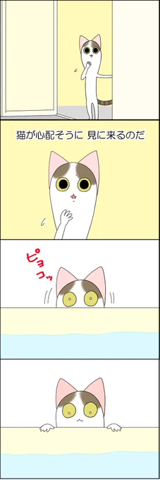 人がお風呂に入ると心配らしい 2/2 