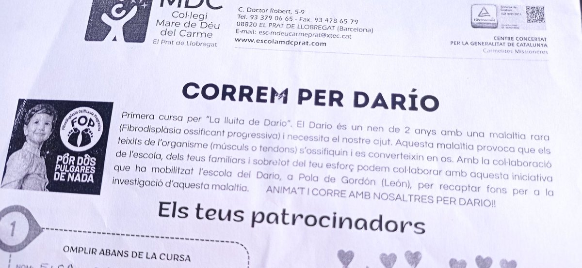 Encarni Morillas tweet media