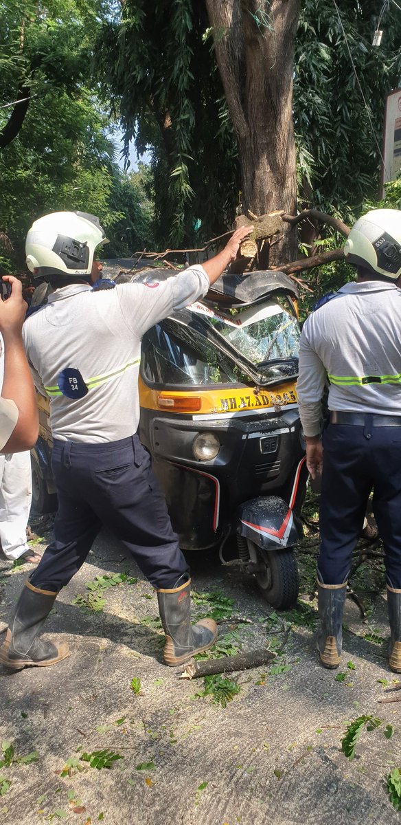 <a href="/mybmc/">माझी Mumbai, आपली BMC</a> @mybmcGardens <a href="/mybmcWardRN/">Ward RN BMC</a> the shoddy work of your road department has costed couple of trees, colossal damage to property. Will we see some action taken on the contractor?
<a href="/sheetalmhatre1/">sheetal mhatre</a>  <a href="/Subhajit/">Subhajit Mukherjee</a> <a href="/mashrujeet/">Jeet Mashru</a> <a href="/richapintoi/">Richa Pinto</a>