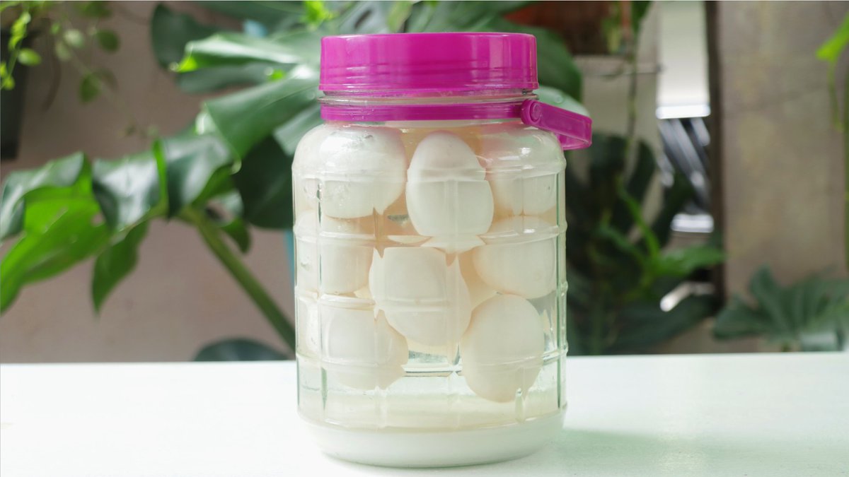 BodianLife's tweet photo. My 18-Day Salted Duck Eggs - Easy, Quick and Delicious Recipes!
Watch Full Video: https://t.co/B407mQTXpx
▶ Ingredients :
● 20 Duck Eggs
● 600g, Salt
● 200g, Sugar
● 1500ml, Water
#saltedeggs,#duckeggs,#breakfast https://t.co/6uxlXTUuGA