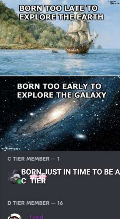 Network__Center's tweet image. join the network and become a c tier today