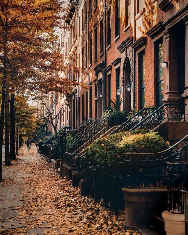 aperfectpumpkin's tweet photo. Fall in New York https://t.co/wkZIGC49eH