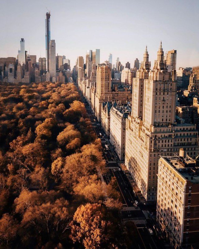 aperfectpumpkin's tweet photo. Fall in New York https://t.co/wkZIGC49eH