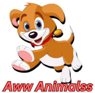 AAnimalss's tweet photo. https://t.co/X4q82RVd4y https://t.co/Gadxzxu8wO