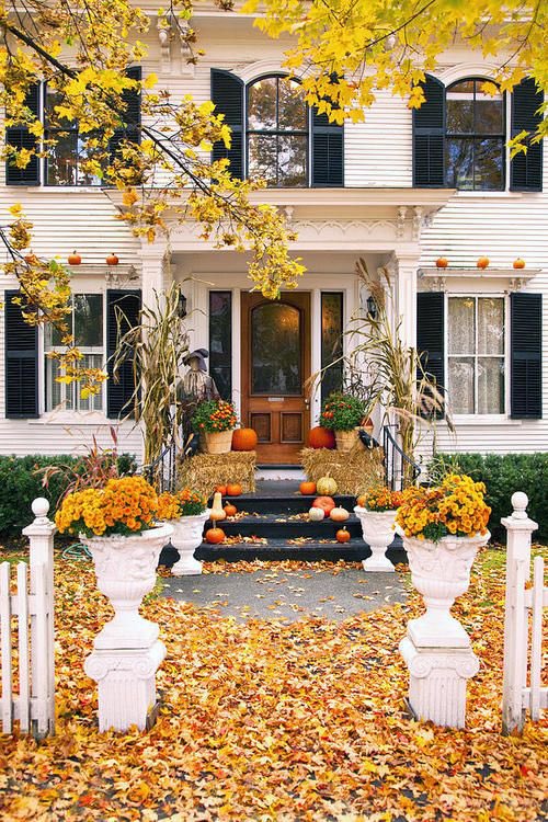 MatthewDeFede's tweet photo. "ππ‘ Selling your home in the fall? Embrace the benefits! π Captivating curb appeal, motivated buyers, less competition, and cozy spaces that shine. Take advantage of this enchanting season and make your move. #FallSelling #RealEstateOpportunity #CurbAppeal #MotivatedBuyers #CozySpaces"