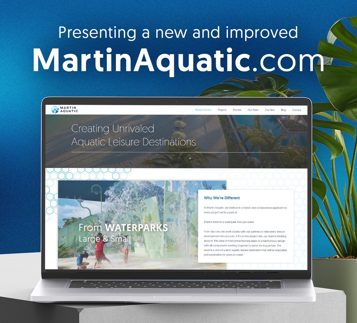 Martin Aquatic tweet media
