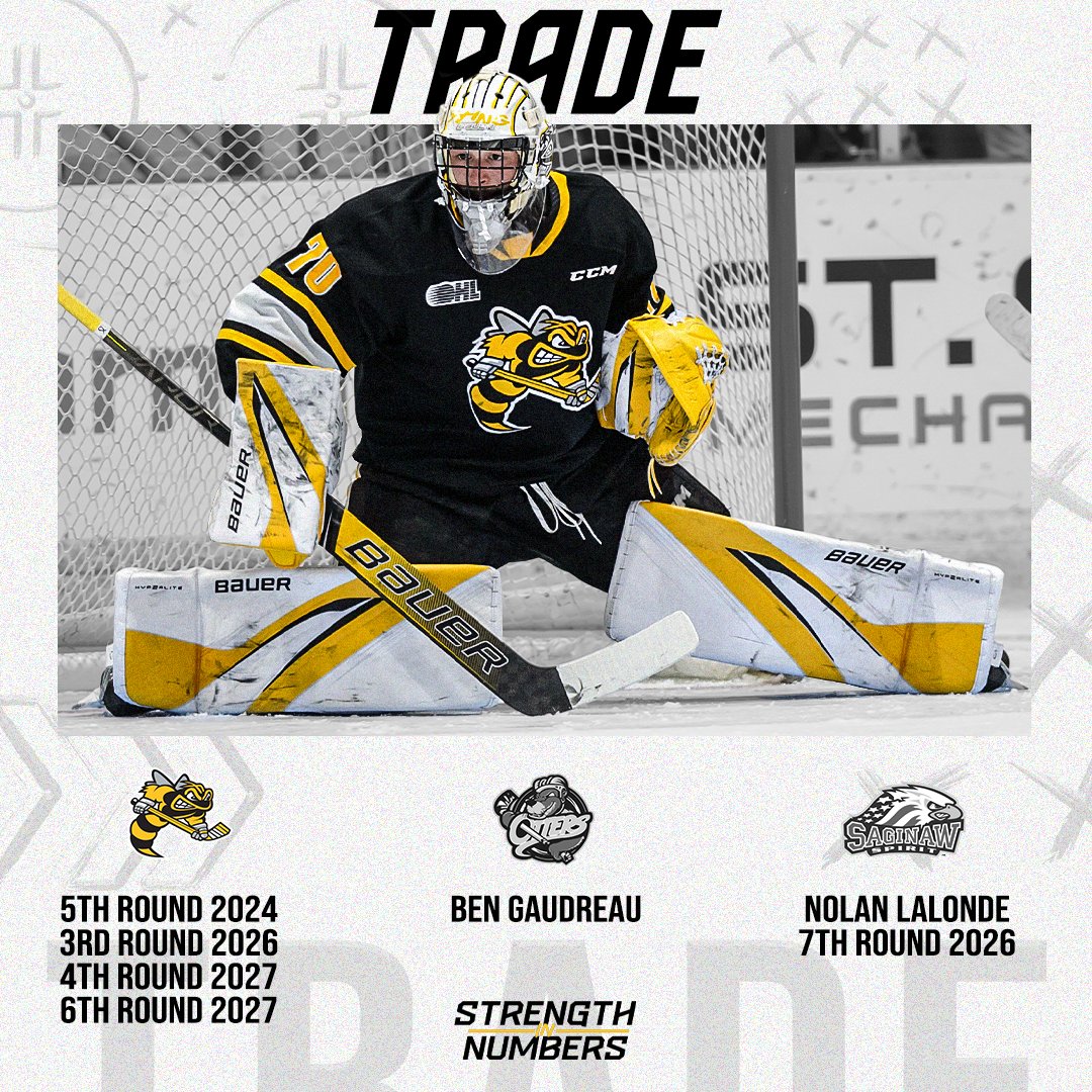 The Sarnia Sting have completed trades with the Erie Otters and Saginaw Spirit.

General Manager Dylan Seca announced this afternoon that the Hockey Club has completed two trades involving goaltenders with the Otters and Spirit respectively.

🐝: bit.ly/3Fa7RoD